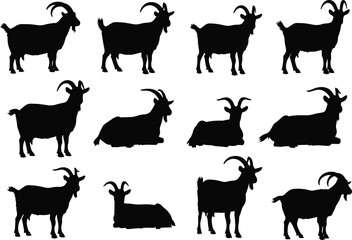 Large vector set of goat silhouettes standing and lying down, depicting various livestock and farm animal poses isolated on white