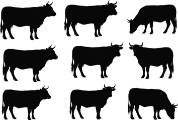 Cattle silhouettes set, livestock farm animals, various cow poses, grazing and standing, beef and dairy vector icons, isolated black background.