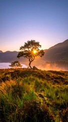 A serene landscape at dawn, featuring a lone tree silhouetted against the rising sun. Hues of orange, purple, and green