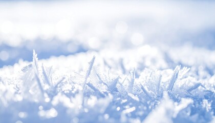 Closeup of ice crystals in sunlight.