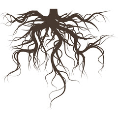 Intricate Brown Tree Root System Spreading Outward Against a White Transparent Background Ideal for Nature and Growth Concepts