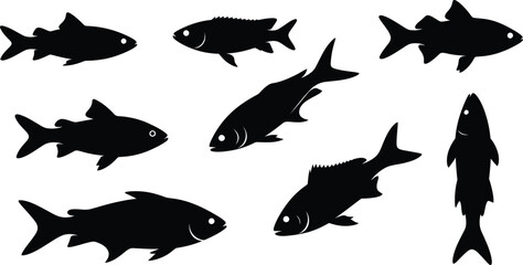 Fototapeta premium Silhouette of fish collection