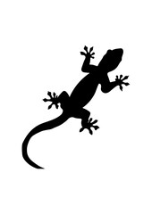 Gecko or Lizard Silhouette © Abdul Rahim