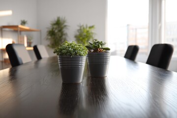 Modern minimalistic conference room featuring succulent plants on a large table surrounded by comfortable black chairs in a bright space