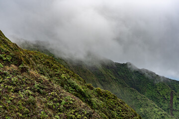 Top of Poamoho Trail, Honolulu,Windward Coast Oahu, Hawaii. Koʻolau Range ( shield volcano ). Stratocumulus cloud	 