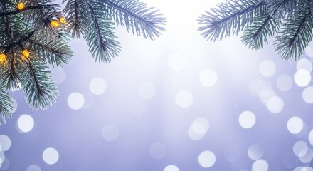 Festive christmas tree branches with warm fairy lights and soft bokeh background