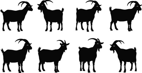 Goat silhouette vector, farm animal icons, black goat shapes, horned livestock clipart, rural species illustration, standing goat posture graphics