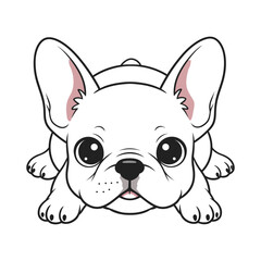 Adorable isolated white and brown French Bulldog puppy portrait