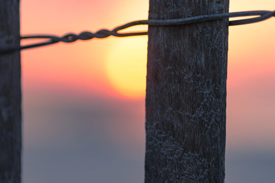 barbed wire with sunset in background