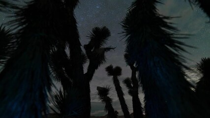 TImelapse tracking shot of rare aurora borealis over Joshua Tree in Mojave Desert in Southern California on November 12th, 2025 - Powered by Adobe