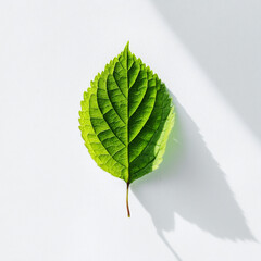 Sustainable Simplicity