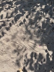 footprints in the sand