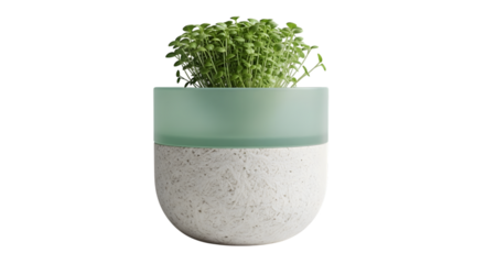 Modern green and white planter with plant isolated on transparent background