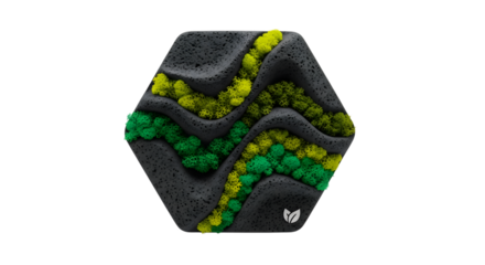 Hexagonal moss mat isolated on transparent background with green and yellow design