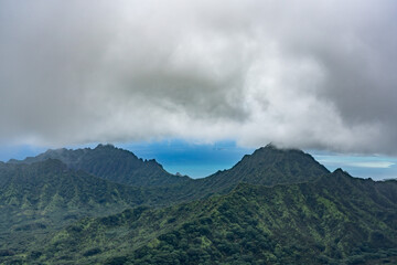 Directly ahead is Pu'u Manamana and Puʻu ʻŌhulehule and  Kāneʻohe Bay . Top of Poamoho Trail, Honolulu,Windward Coast Oahu, Hawaii. Koʻolau Range ( shield volcano ). Stratocumulus cloud	 