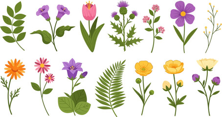Colorful Spring Botanical Flower Elements Set