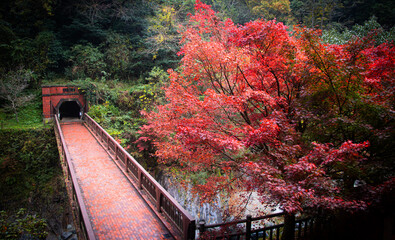 赤煉瓦の橋と紅葉