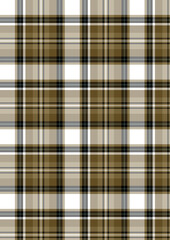 Obraz premium Seamless red,brown,green, lemon,teal and black plaid twill check pattern for fabric design.