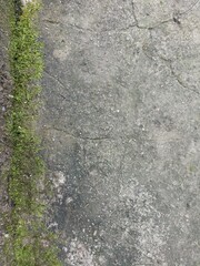 A concrete surface with bright green moss lines. Fine cracks and scattered debris suggest a natural, aged outdoor atmosphere
