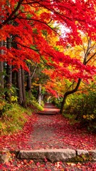 A stone path winding through a colorful, autumn-hued forest