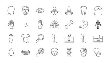 Human Body and Organ Line Icons – Medical Anatomy Vector Set