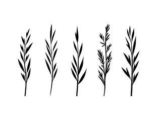 Naklejka premium Hand drawn botanical illustration black herb branch rustic plant silhouette vintage foliage natural leaf minimal floral decorative element isolated simple organic calm