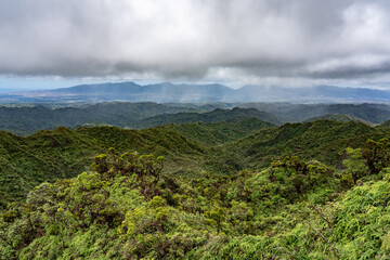 In the distance is the Waiʻanae Range. Top of Poamoho Trail, Honolulu,Windward Coast Oahu, Hawaii. Koʻolau Range ( shield volcano ). Stratocumulus cloud	  