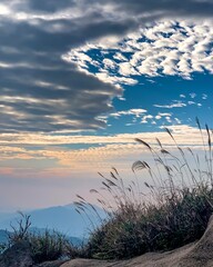Dramatic sky with clouds over mountains and tall grass in a scenic landscape