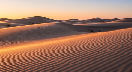 Naklejka premium Sweeping Desert Dunes at Dusk Embrace a Golden, Serene Landscape