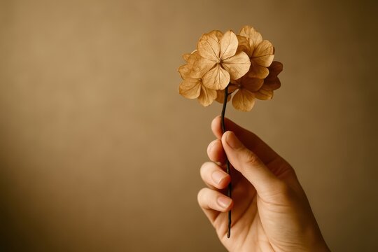 A hand holding a flower