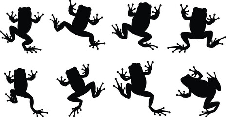 Collection of frog silhouettes featuring jumping, climbing and crouching poses with detailed legs and toes for wildlife illustration and nature design projects