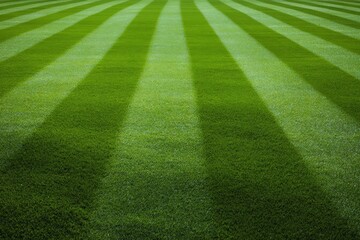 Lush green grass with perfectly manicured stripes creates a vibrant outdoor scene, showcasing the beauty of nature and the artistry of lawn care and maintenance techniques