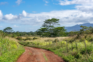 Fototapeta premium Plantation Road, Wahiawa, Honolulu, Oahu, Hawaii. 