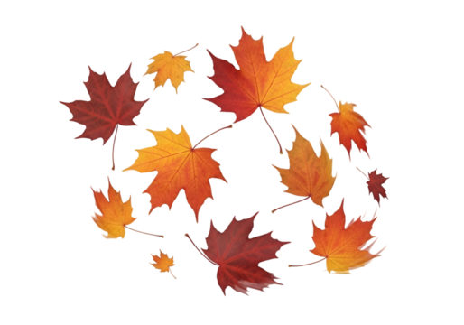 Autumn Maple Leaves Circle Scatter PNG – Fall Foliage Decorative Element for Seasonal Designs