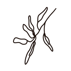 Line art whimsical wedding, elegant bridal outline, romantic floral clipart, minimalist wedding design, aesthetic bride and groom
