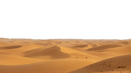 Golden desert dunes under a white sky, rich orange-brown sand forming flowing curves and shadows, a minimalist arid landscape full of texture and rhythm. transparent background.