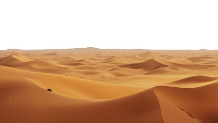 Golden desert dunes under a white sky, rich orange-brown sand forming flowing curves and shadows, a minimalist arid landscape full of texture and rhythm. transparent background.