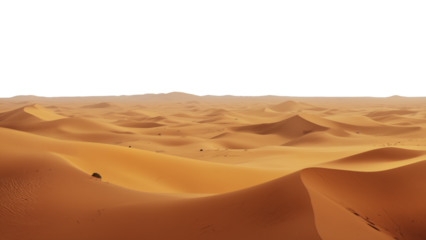 Golden desert dunes under a white sky, rich orange-brown sand forming flowing curves and shadows, a minimalist arid landscape full of texture and rhythm. transparent background.
