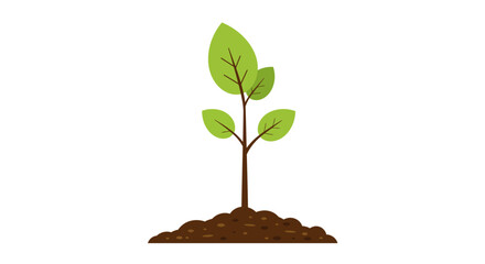 Young Plant Growing in Soil Vector Illustration New Life Growth Concept american football