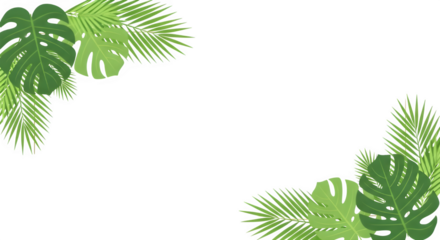 A vibrant tropical foliage border with monstera and palm leaves in the corners, isolated on transparent background, ideal for summer vacation, travel, and naturethemed designs
