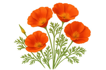 Obraz premium California poppies displaying bright orange petals and fern-like leaves, bringing a striking natural element