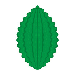 Bitter gourd vector. Bitter gourd on PNG.