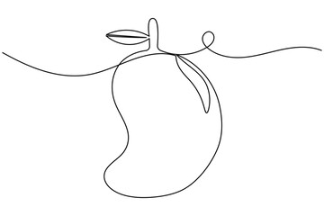 Mango fruit continuous one line drawing on white background minimalist fresh tropical outline vector illustration