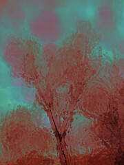 Fototapeta premium tree