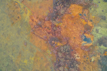 Vertical aerial shot of a colorful wetland or marsh in late autumn. Rich textures of gold and rusty orange reeds and grasses with small dark spots of water. Concept of ecology, climate, and wilderness