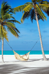 Hammock tied between two palm trees on a white sandy beach © Sakis  Papadopoulos 