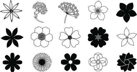Collection of diverse hand drawn floral illustrations in black and white sketch style