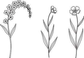 Three delicate hand drawn botanical illustrations of wheat stalks and floral elements in black and white
