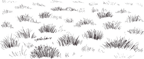 Black and white sketch grass clumps nature