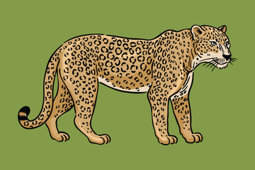 Leopard Illustration, Wild Big Cat Line Art Vector
